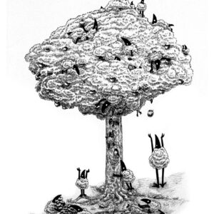 "Comunicación"