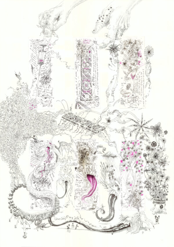 "Retroalimento II"