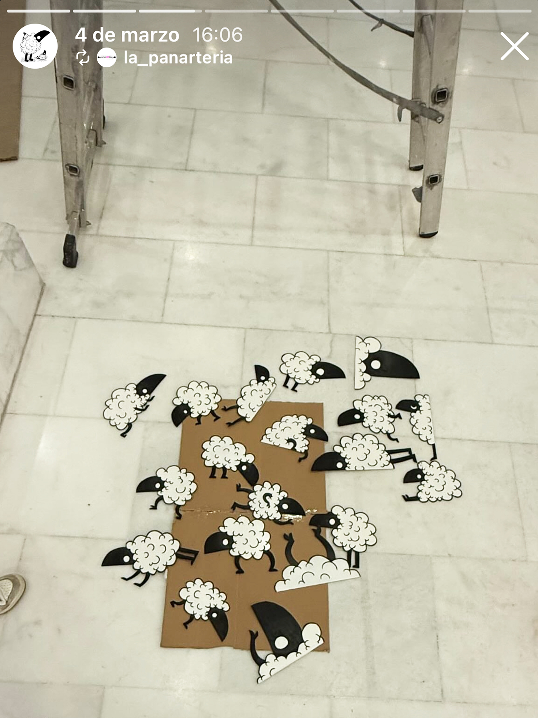 www